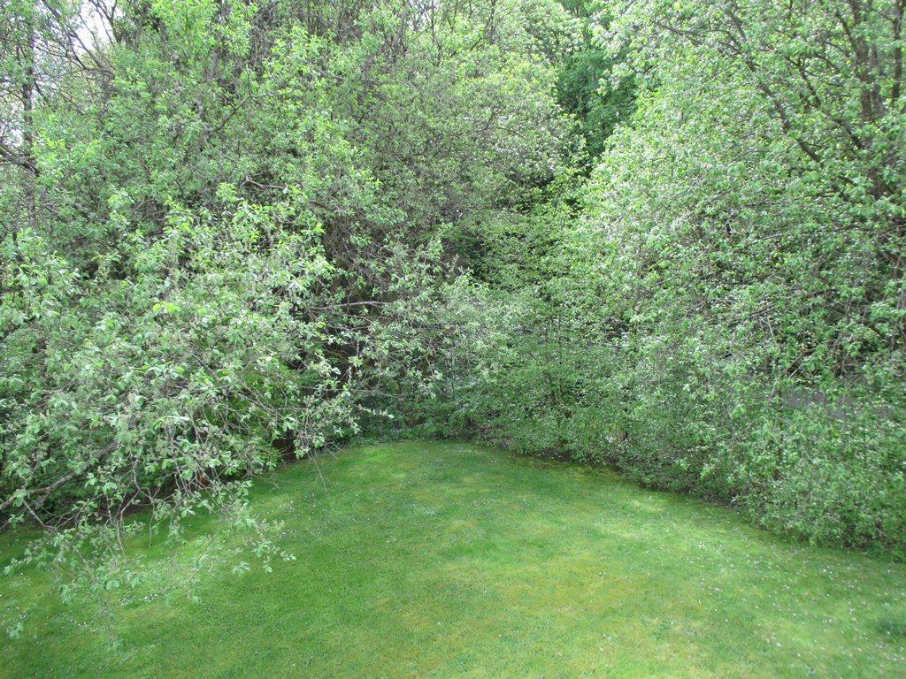 Ferienwohnung An Der Lay Bach  外观 照片